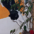 167.JPG